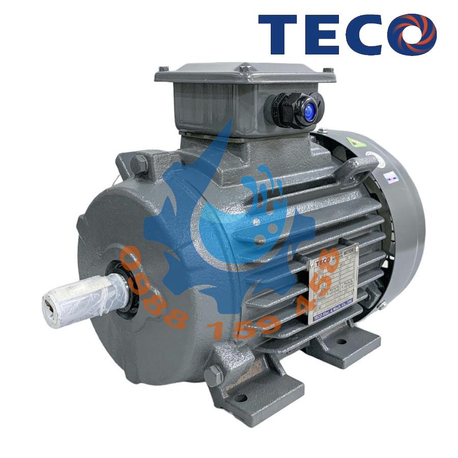 động cơ điện Teco
